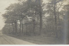 1912-Sandal-Beat-2