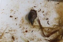 20230425_145115-rotated