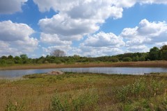 A-view-from-Decoy-Hide