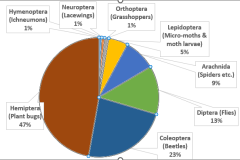 Figure 1 Relative abundance of Taxonomic groups.