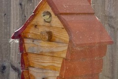 Nora Boyle's Blue Tit Nest Box events, 2025