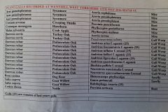 Plant Gall Record for Wenthill, 12 May 2026