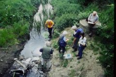 Joint meeting of YNU and Doncaster Naturalists'