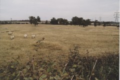 Lime Kiln Lane, Stainton, Tickhill (October 2003).