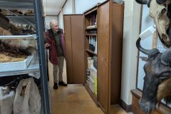 The archive cupboard at the museum.