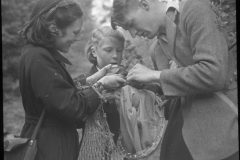 Examining contents of insect net