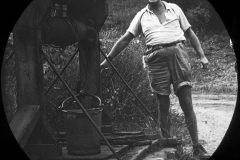 Mr. Ethert Brand In Brocodale