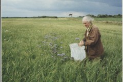 Blaxton Common - Colin Howes - 8 July 2000 