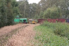 Internal small gauge railway (3 ft) used to transport peat to the factory, Hatfield ( 27 Sept 2006).