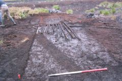 Micks Trackway under excavation, Hatfield.