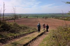 At the transition between Magnesian Limestone and Coal Measures, on the escarpment below Beacon Lane
