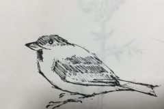 David Gagg's Artwork  - Sparrow