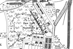 Daw-Lane-Plantation-Map