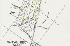 Dawn Chorus Sandall Beat Wood map 1996