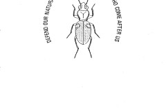 DNS Centenary Meeting 1880-1980 Back Cover