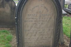 Henry-William-Stiles-1880-scaled