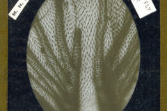 Lantern-Slides-2