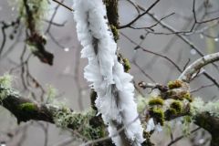 Hair Ice by Ian Mcdonald