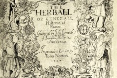 Gerard's Herbal 1597