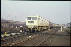 D0260 'Lion' type 4 diesel-electric locomotive in service. 