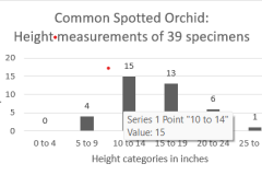 Figure 1 Common Spotted Orchid