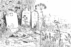 Doncaster-Naturalist Cover Sketch by David Gagg
