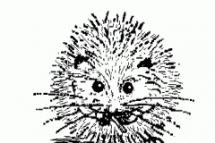 mini-vole