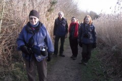 Nats at Potteric Carr
