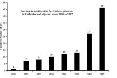 Graph Uloborus plumipes
