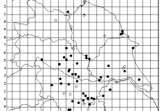 Uloborus plumipes Map