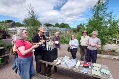 YWT Woodfield Bioblitz 20 June 2026
