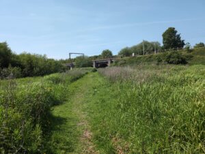 Footpath leaving the railway viaduct