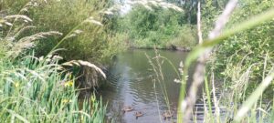 The pond encountered during the walk