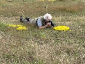 Lesser (or perhaps Greater) Silver-haired photographer